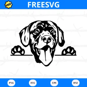 Free Labrador Retriever Dog, Layered Svg Files